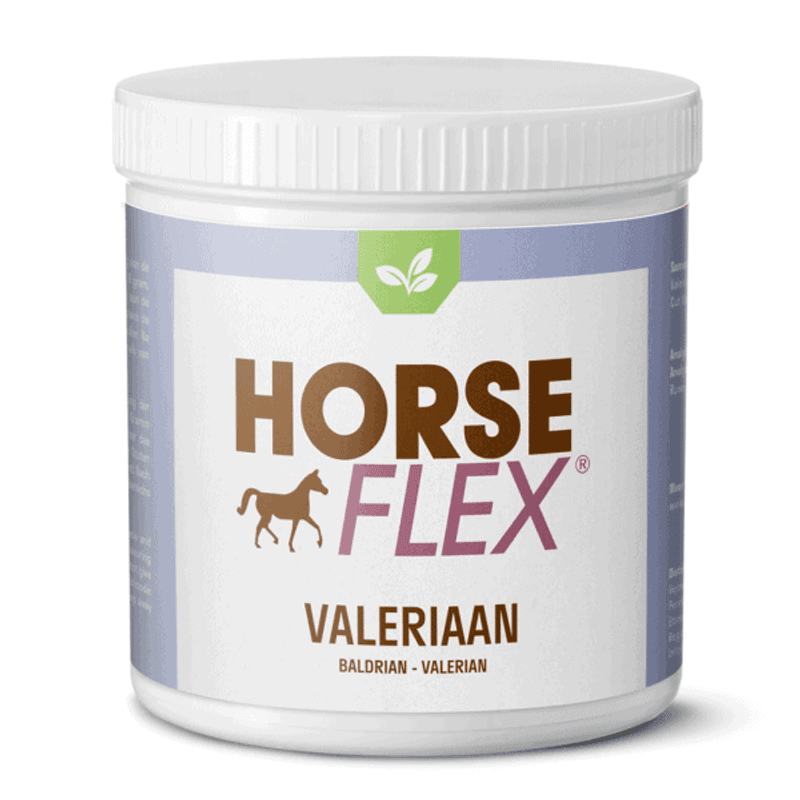 HorseFlex Legevendelrot