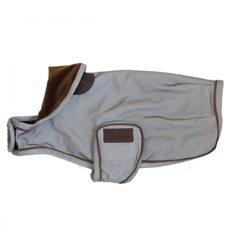 Kentucky Dog Rug Reflective Water Repellent