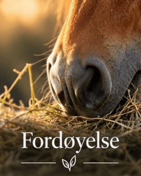 Hovedbilde Fordøyelse