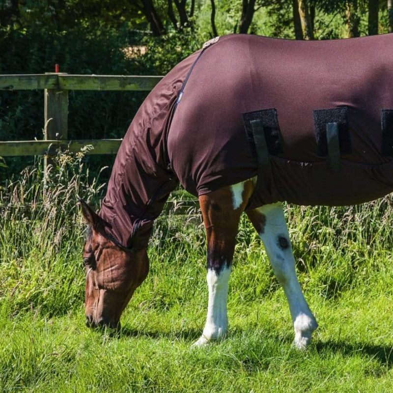 Snuggy Hoods Headless Anti-Itch Hood