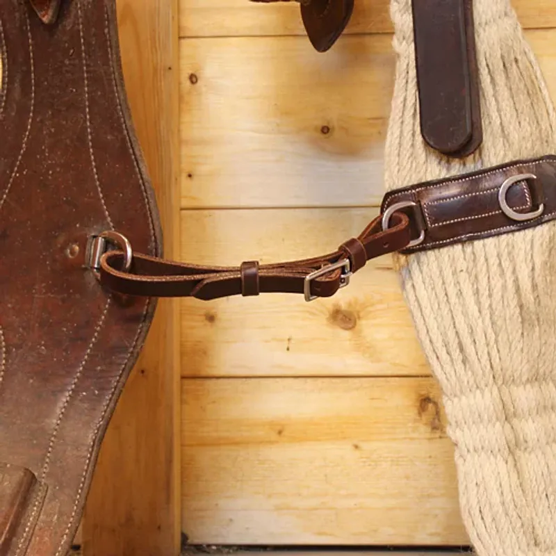 All That Cinch Connector