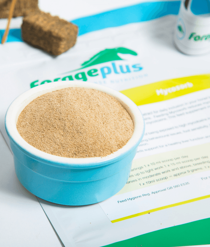 Forageplus Mycosorb 