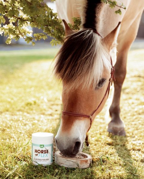 HorseFlex Elecrolyte Mix