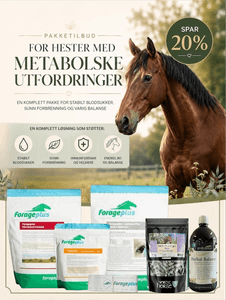 Hovedbilde Metabolsk Pakke fra Equine ...