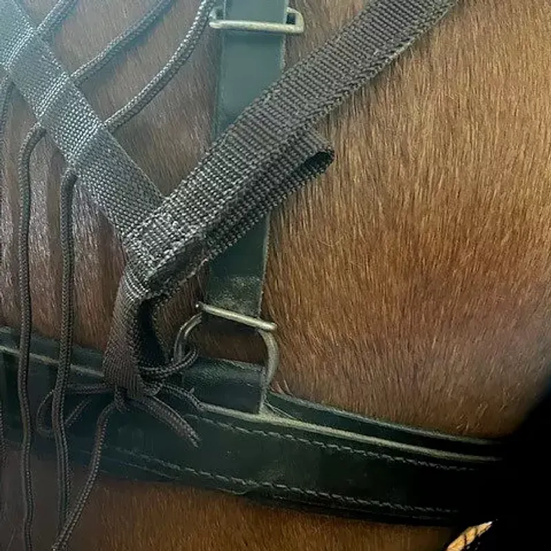 All That Harness Fly Net
